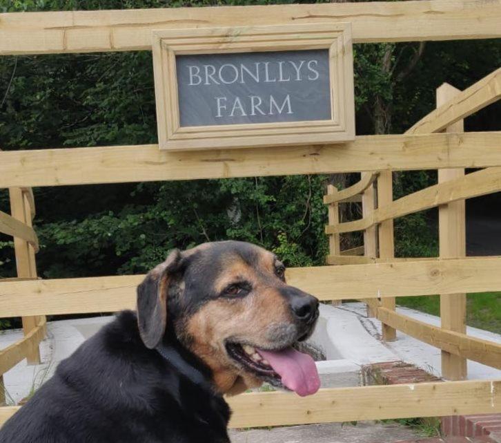 Bronllys Farm Coastal Self-Catering Llanelli Exterior foto